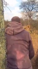 Supernatural Attachment || Amazing Love Between Animals and Humans