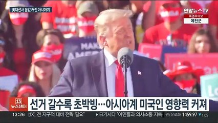 아시아계 미국인, 대선판 흔드나…"캐스팅보트로 부상"