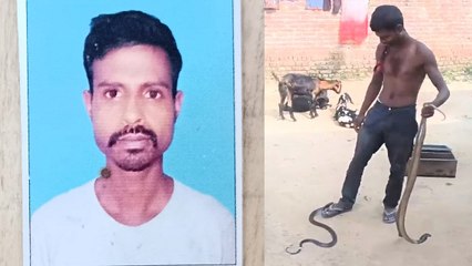 Bareilly: नागपंचमी मेले में करतब दिखा रहे सपेरे को कोबरा ने काटा, मौत के बाद हुआ Video Viral