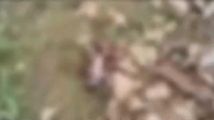 चित्तौड़गढ़: नवजात बच्चे का मिला शव, फैली सनसनी, पुलिस पहुँची मौके पर