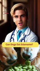 Can Dogs Eat Edamame | Zudaan Food Review