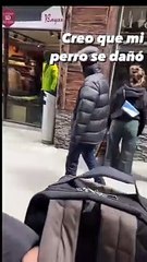 "Creo que se dañó": Perro bulldog robó la mirada de todos por peculiar ladrido