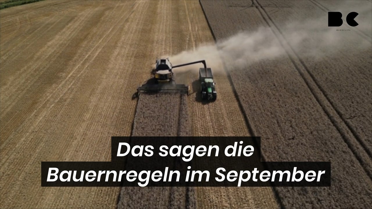 Das sagen die Bauernregeln im September