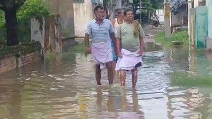 दरभंगा: जलजमाव की समस्या से जूझ रहे हैं इस गांव के लोग, देखिए क्या कहा