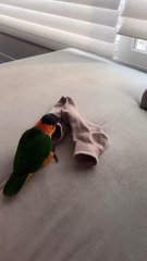 Hippity-hoppity, this is now my property. 