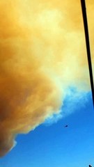 Συγκλονίζει η Κουρτίδου για τη φωτιά στην Αλεξανδρούπολη: «Τρίτη μέρα καιγόμαστε, σαν να είμαστε στην κόλαση»