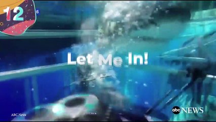 15 SHARK Close Calls