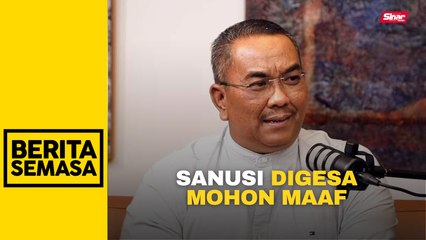 Wanita PKR gesa Sanusi mohon maaf pukul kepala wanita