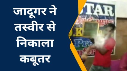 गाजियाबाद: तस्वीर से निकलकर उड़ गया कबूतर, देखने वालों के उड़े होश