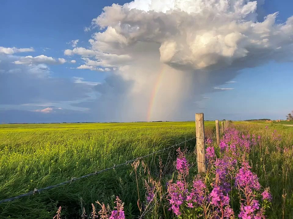 La tempête parfaite
