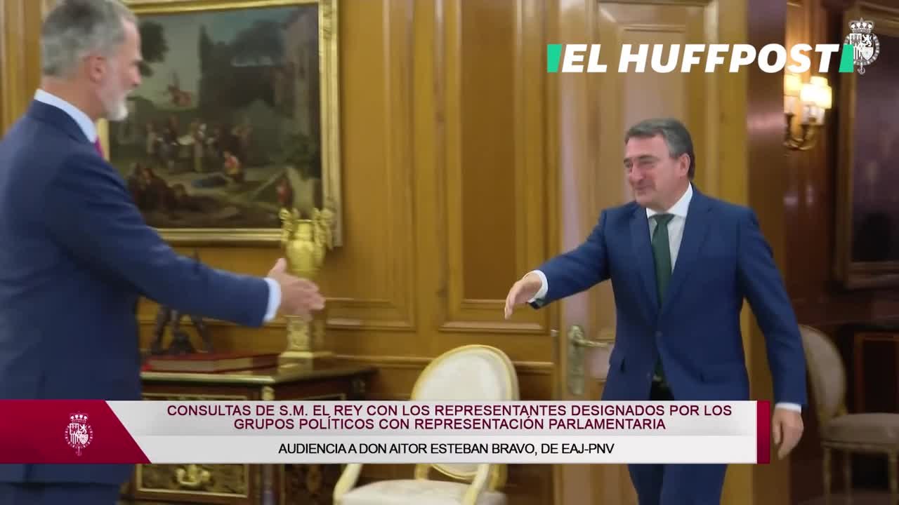 Don Felipe recibe a Aitor Esteban Bravo, representante designado por EAJ-PNV