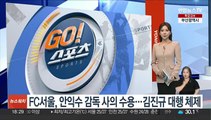 FC서울, 안익수 감독 사의 수용…김진규 대행 체제