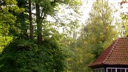 Rote Rosen Folge 940