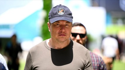 Hat Musk über sein Gespräch mit Putin gelogen?