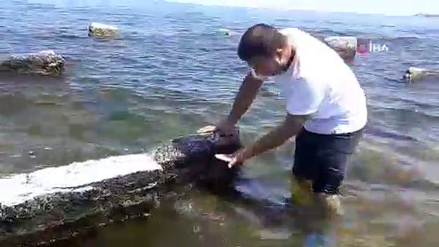 Les eaux se sont retirées du lac de Van, un charnier centenaire a été découvert