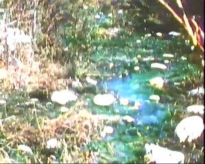 Aunque usted no lo crea de Ripley - S1 - EP08