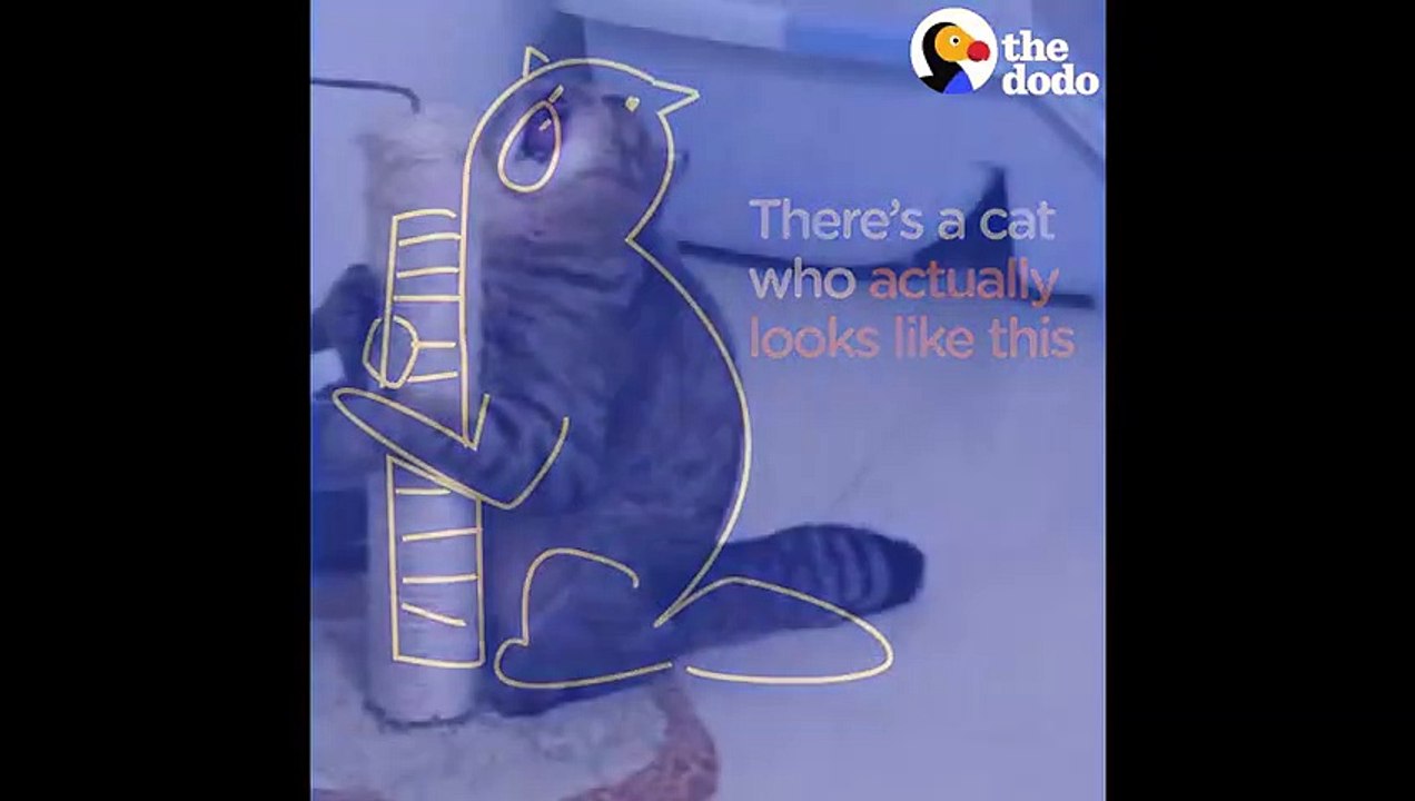 Funny Cat Drawings Inspire Cat Tattoos That Capture The True Essence of Cats   The Dodo