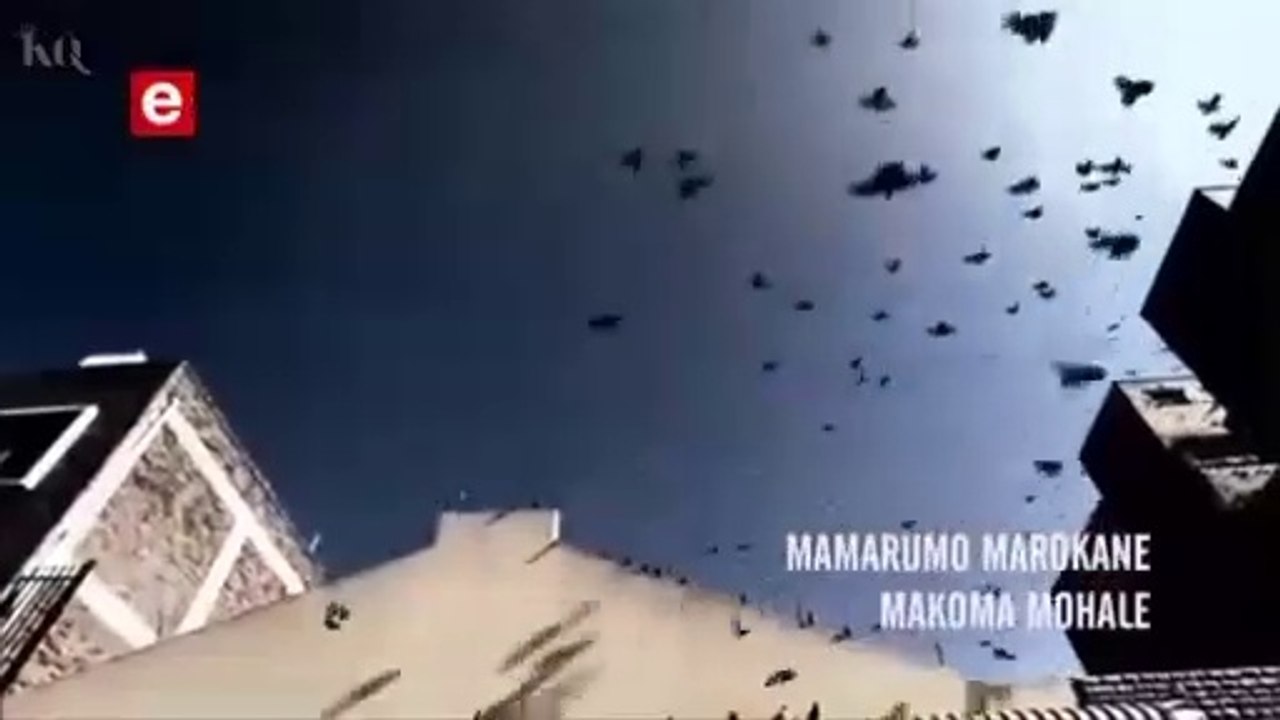 Scandal 22 August 2023