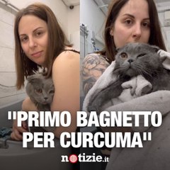 Primo bagnetto per Curcuma