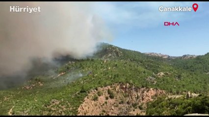 Çanakkale'de orman yangını: İki köy boşaltıldı