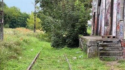 Linia kolejowa z Czarnkowa do Poznania