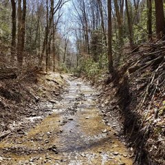 Stuck Living in the New World - Oliver Anthony