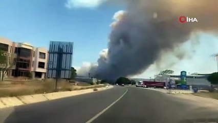 Çanakkale’de büyük orman yangını