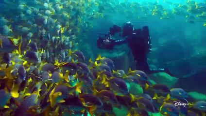 Tiere hautnah mit Bertie Gregory Trailer (2) OV