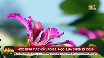 Học sinh từ chối vào Đại học, lựa chọn đi XKLĐ