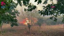 Çanakkale ve İzmir'de orman yangını: Köy tahliye edildi