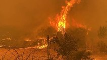 Çanakkale'de orman yangını! İki köy boşaltıldı, karayolu trafiğe kapatıldı