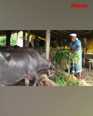 सालगडी ते ५ एकरचा मालक  आता लाखोत खेळतोय_1