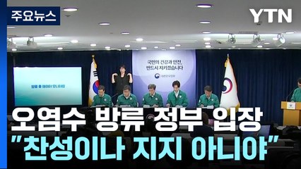 "계획상 과학적·기술적 문제 없어...방류 찬성은 아냐" / YTN