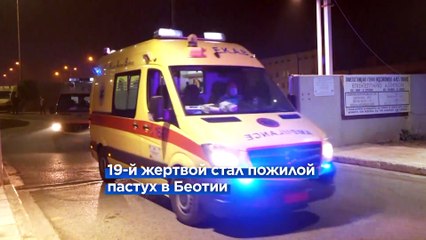 Греция: обнаружены 19 жертв второй волны пожаров