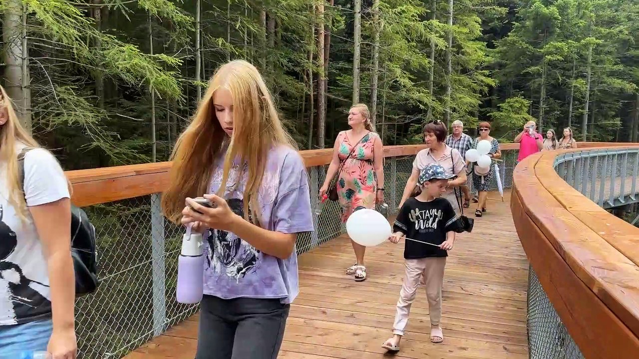 Ciężkowice - ścieżka w koronach drzew