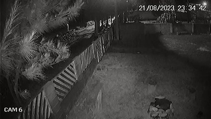 arro de luxo carregado com peças de fuzil quase atropela pescador e cai no mar em SC