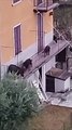 Bellano, otto cinghiali passeggiano sul terrazzo di una casa: l?assurdo video girato da un vicino
