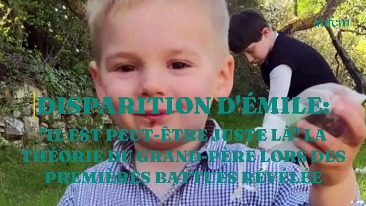Disparition d’Émile : "Il est peut-être juste là" la théorie du grand-père lors des premières battues révélée