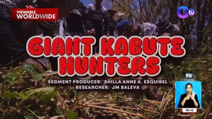 Naglalakihang kabute, safe kaya kainin? | Dapat Alam Mo!