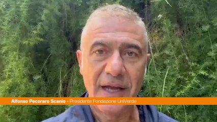 Clima, Pecoraro Scanio "Dal Papa scossa ecologista a politica inerte"