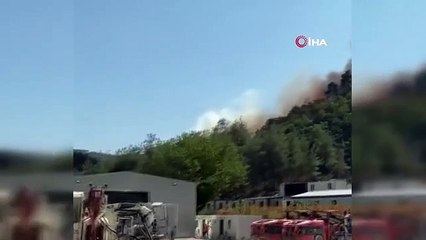 Réponse aérienne et terrestre aux incendies de forêt à Bursa