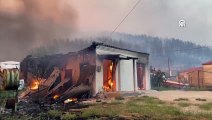 Türkiye, Yunanistan'a yangınlarla mücadele için yardım teklif etti