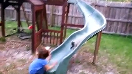 Funny Dog Videos 2016 - Funny Dogs Compilation January 2016 - Funny Dogs 2016