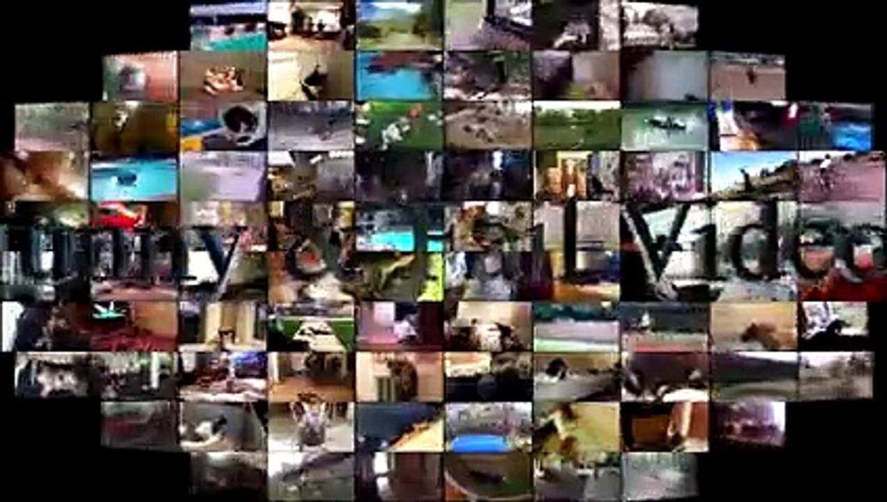 Cats scared of Cucumbers Compilation - Cats Vs Cucumbers - Funny Cats