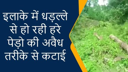 प्रतापगढ़: इलाके में धड़ल्ले से हो रही पेड़ो की अवैध कटाई, जिम्मेदार बने बेपरवाह