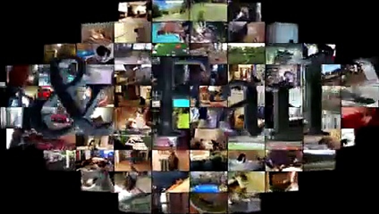 Funny Cats And Rats Cats Vs Rats Rats Attacking Cats Compilation