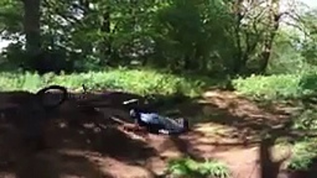 Fails Compilation June 2017 - Week 3