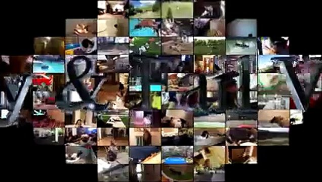 Sleeping Cats And Dogs Compilation - Funny Cats And Dogs Sleeping