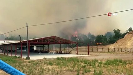 Çanakkale'de Büyük Orman Yangını: Can Pazarı Anları Kamerada