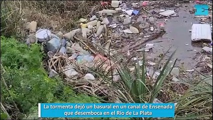 La tormenta dejó un basural en un canal de Ensenada que desemboca en el Río de La Plata